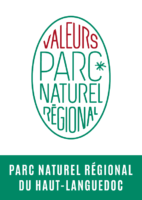 Fées du lac au lac du Laouzas (Tarn)