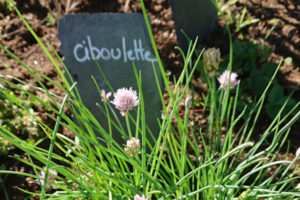 Le Potager